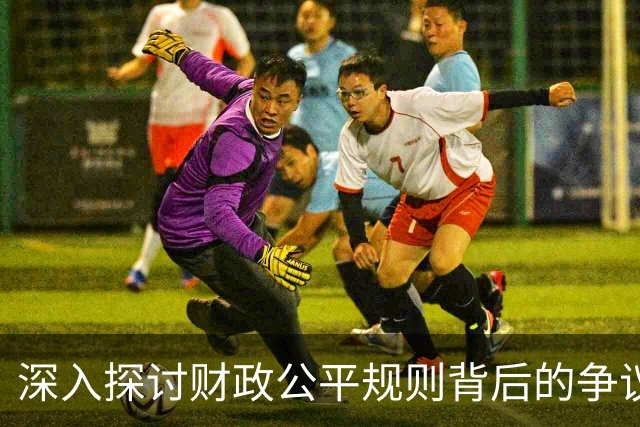 深入探讨财政公平规则背后的争议与真相